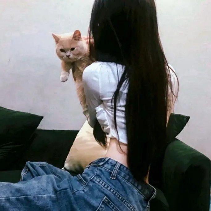 离散与恒留